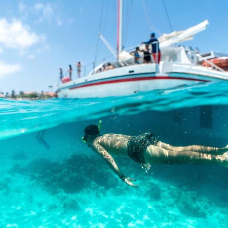 Little Paradise ノールト エクステリア 写真