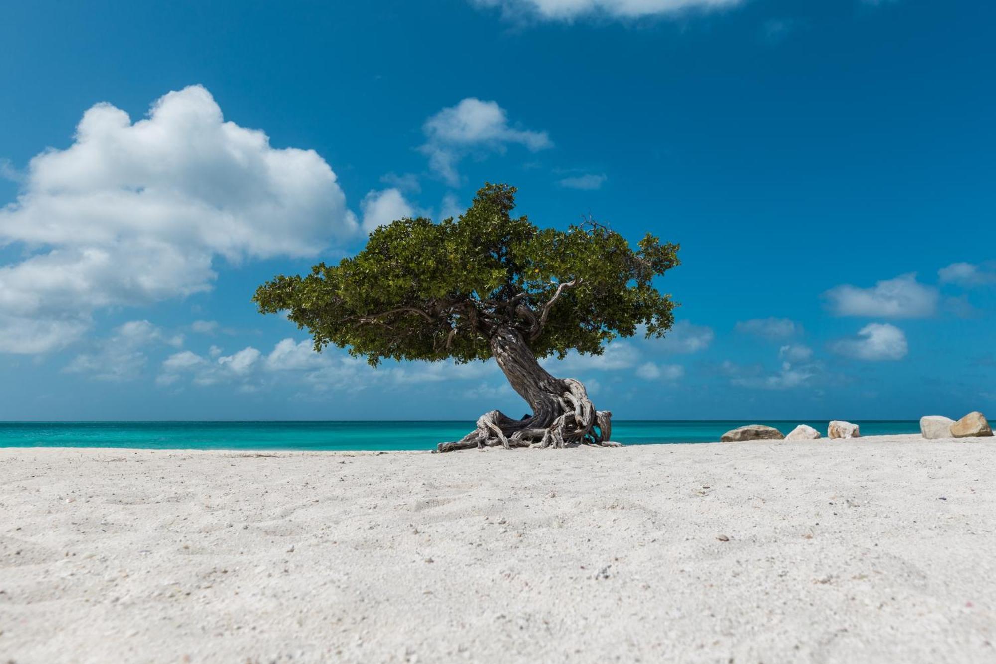 Little Paradise ノールト エクステリア 写真