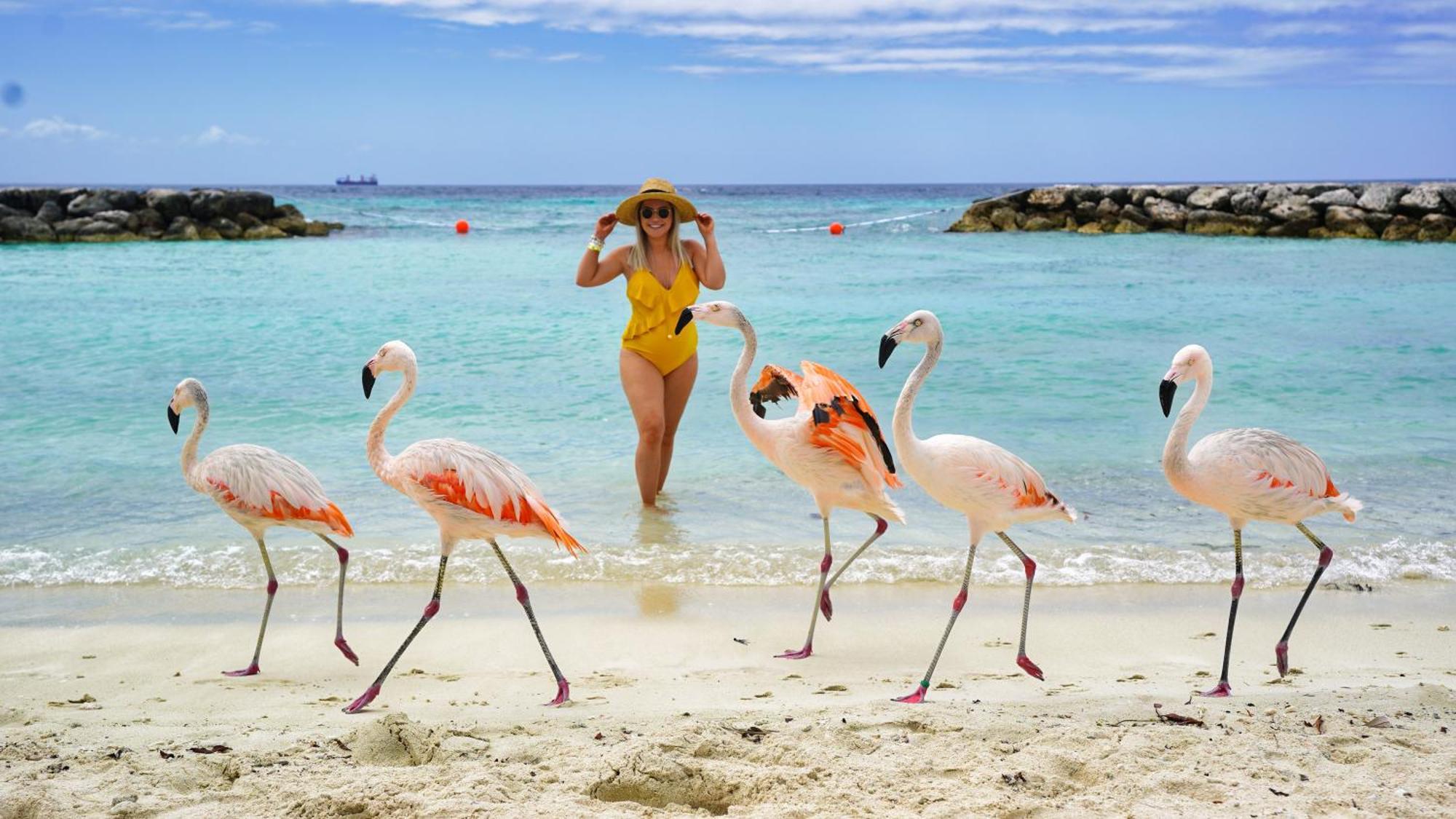 Little Paradise ノールト エクステリア 写真